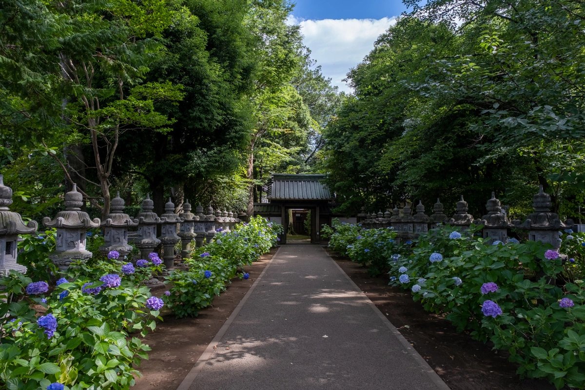 🏯 묘법사 이미지 3