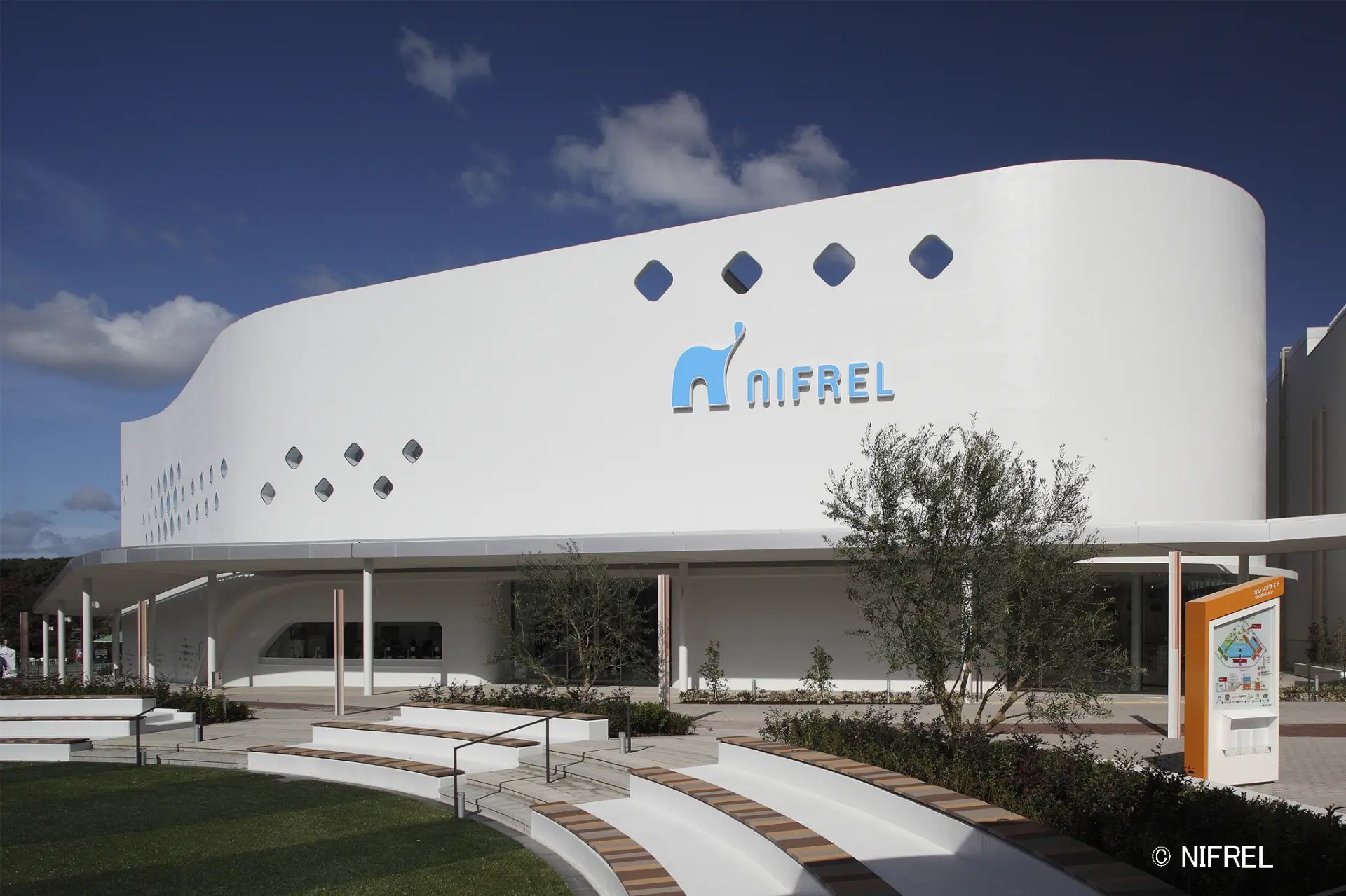 🐠 니프렐 이미지 5