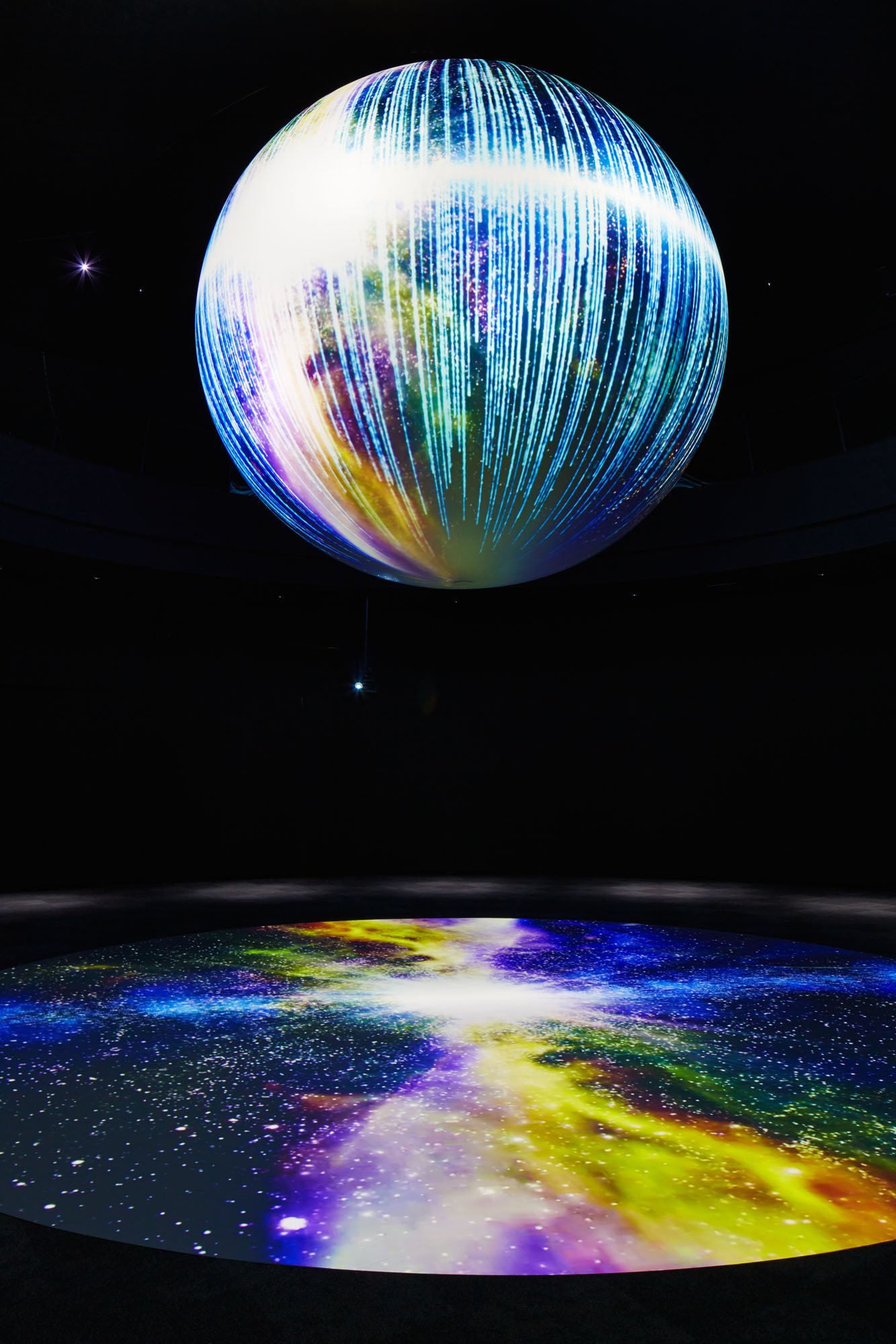 🐠 니프렐 이미지 3