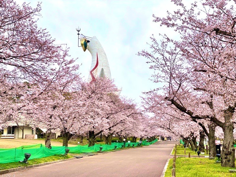 🌳 만박기념공원(반파쿠키넨코엔) 이미지 1