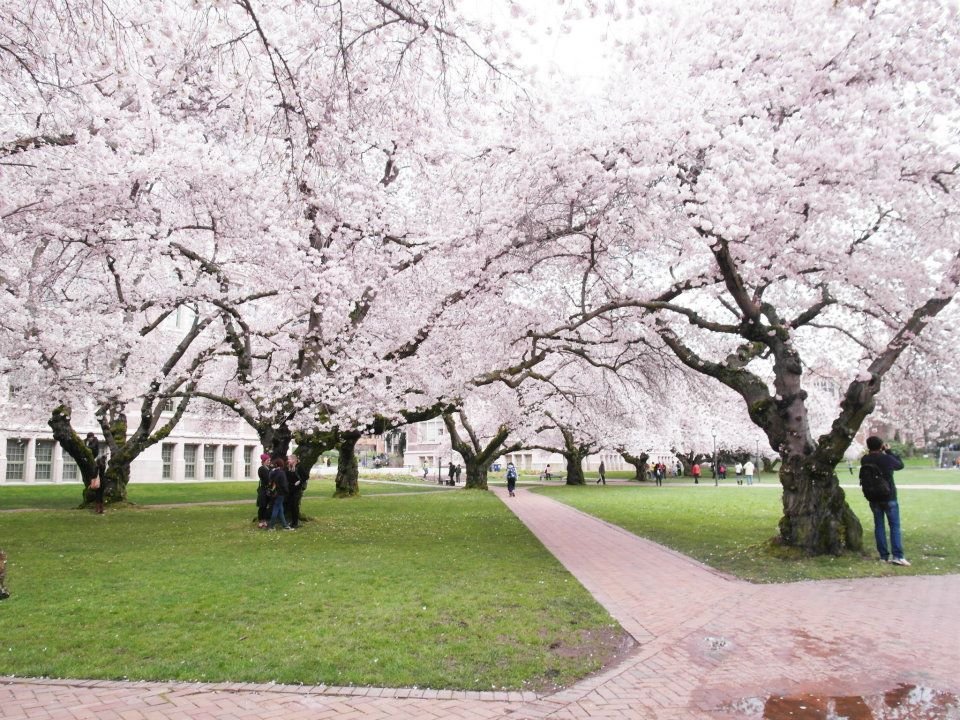 🏯 묘덕사(묘토쿠지)