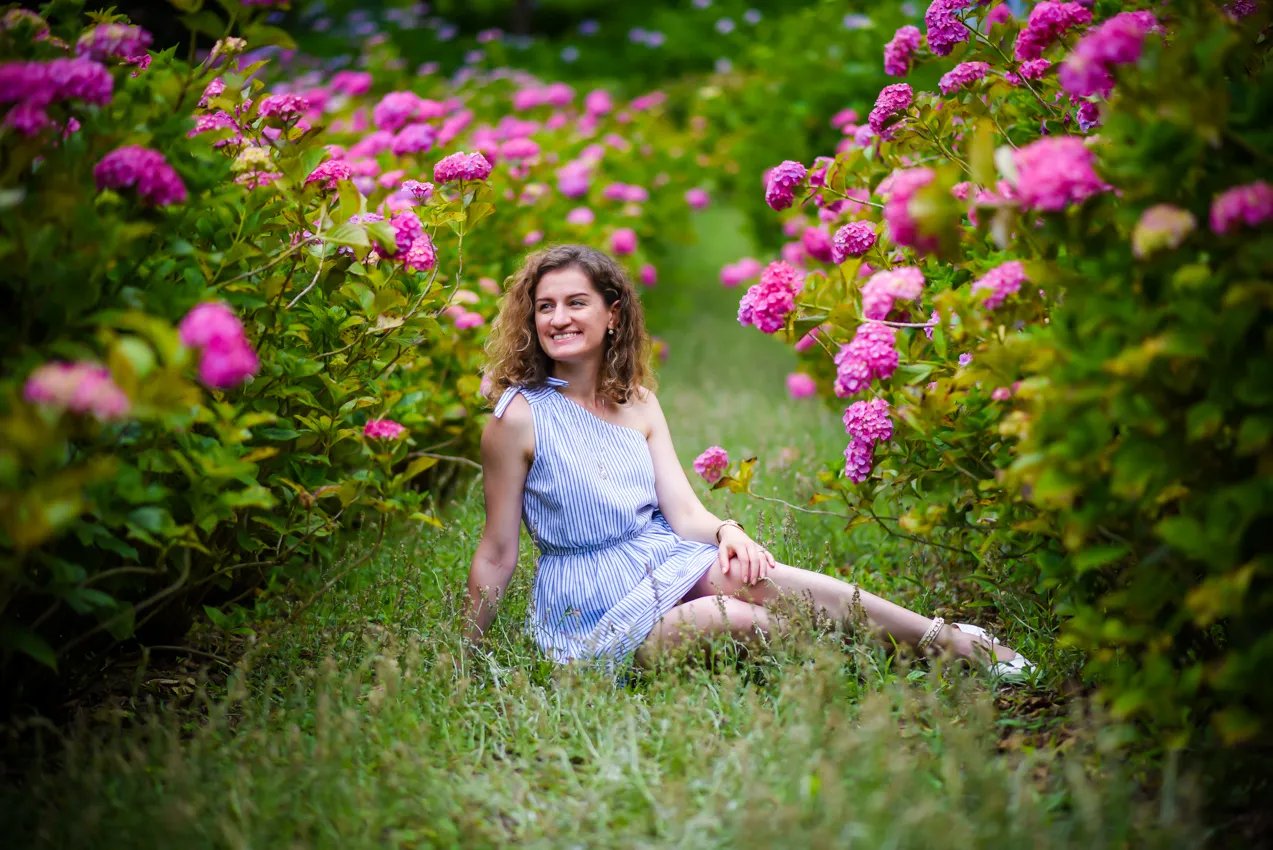 ⛩️ 대보팔번궁(다이호하치만구) 이미지 6