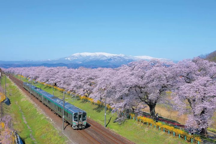 🏛️ 누룩집(코지야) 이미지 3