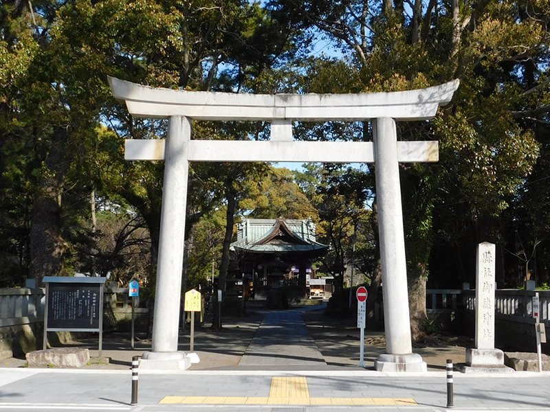 🌲 미호노마츠바라 이미지 8