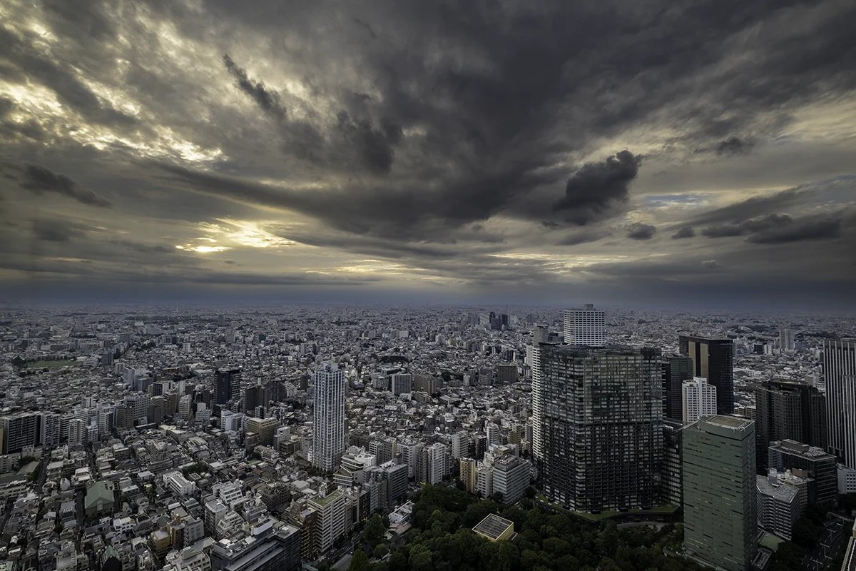 🏙️ 도쿄도청 이미지 6