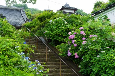 🌸 쵸호지(長法寺) 이미지 2
