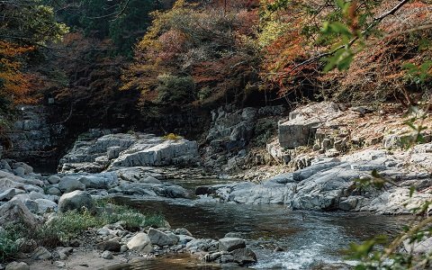 🌸 쵸호지(長法寺) 이미지 3