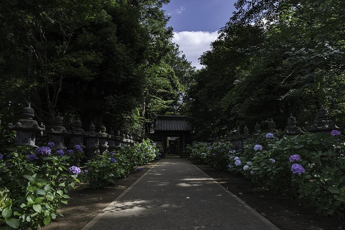 🌸 쵸호지(長法寺) 이미지 6