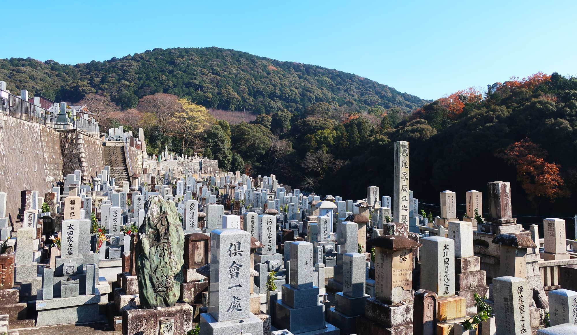 🏯 신룡사(신류지) 이미지 4
