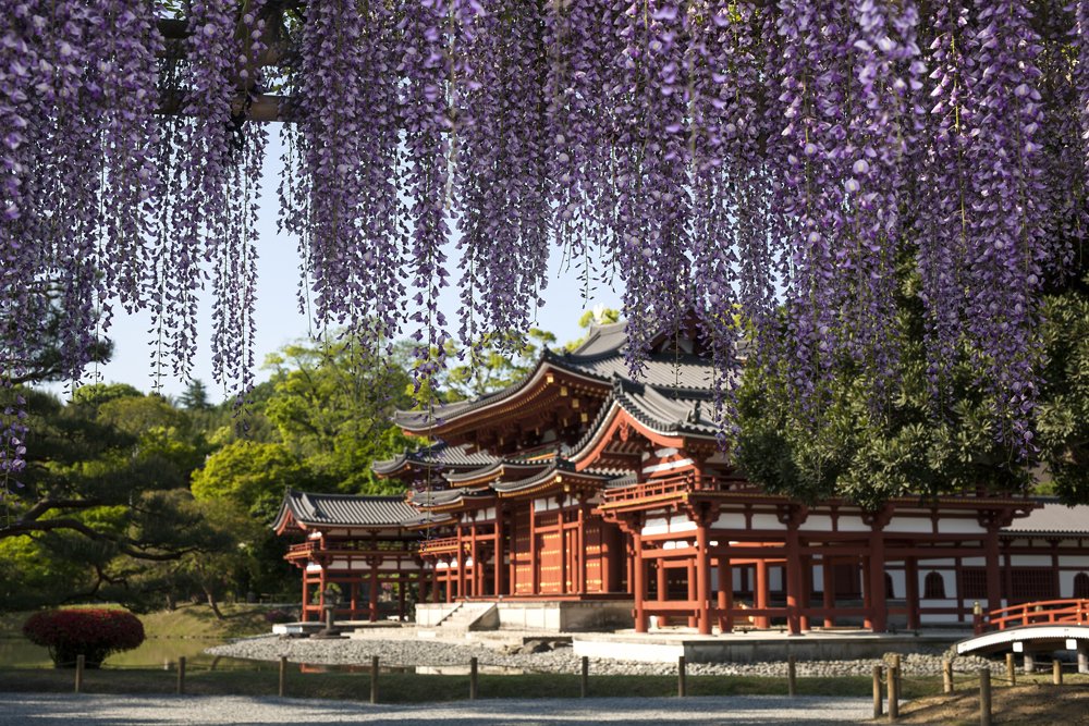 🏯 평등사(뵤도지) 이미지 9