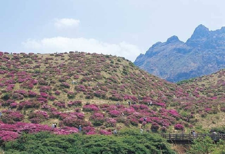 🏞️ 센스이쿄 이미지 1