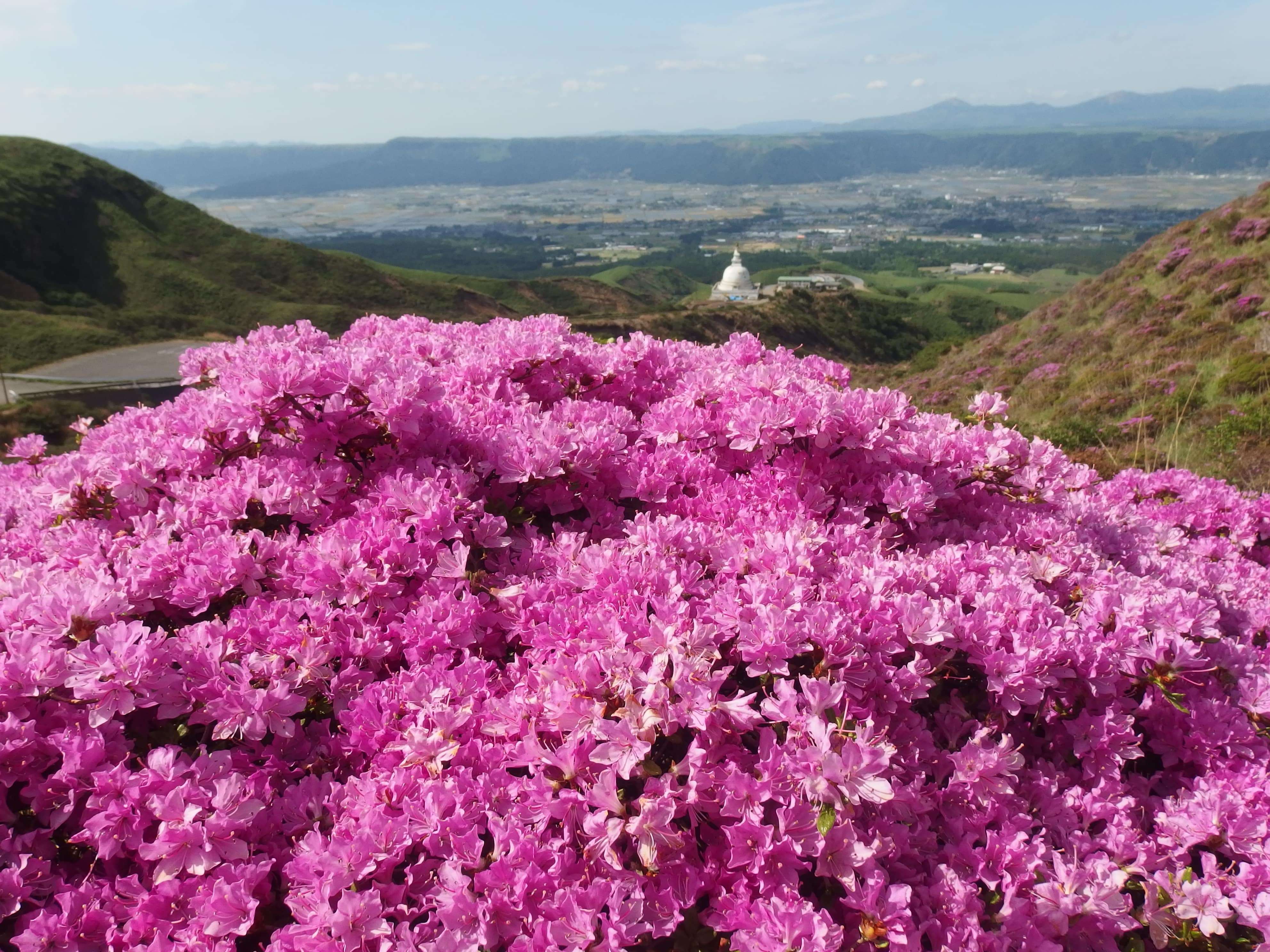 🏞️ 센스이쿄 이미지 4