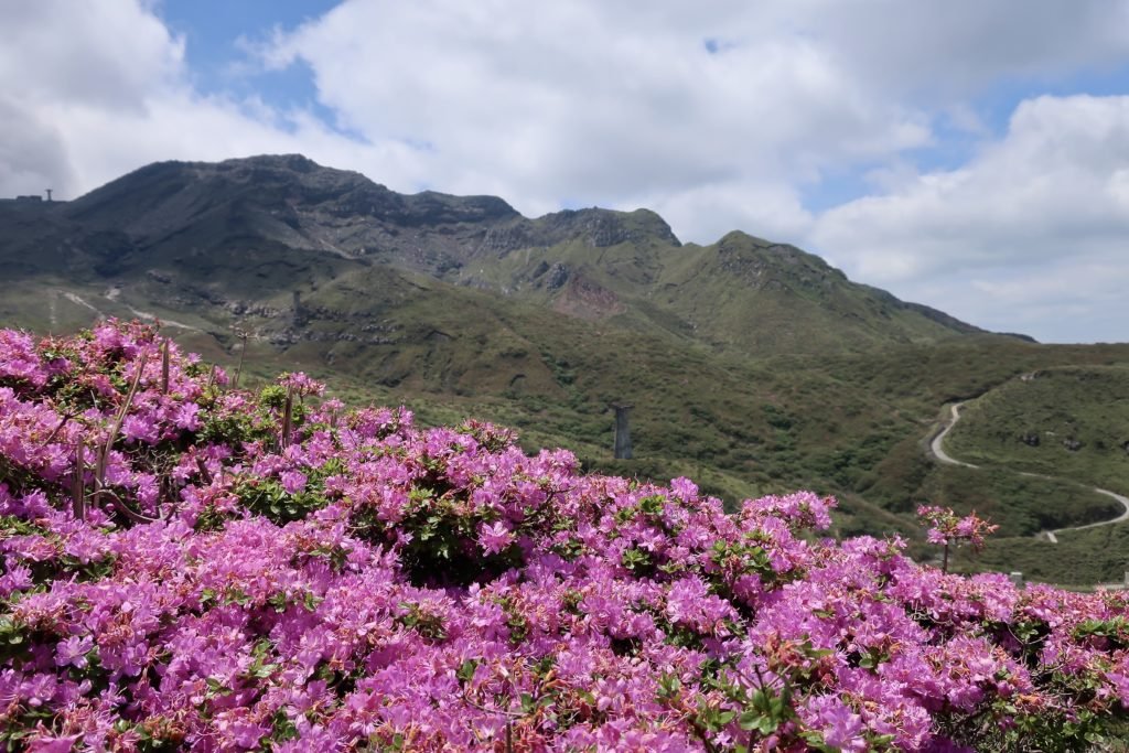 🏞️ 센스이쿄 이미지 8