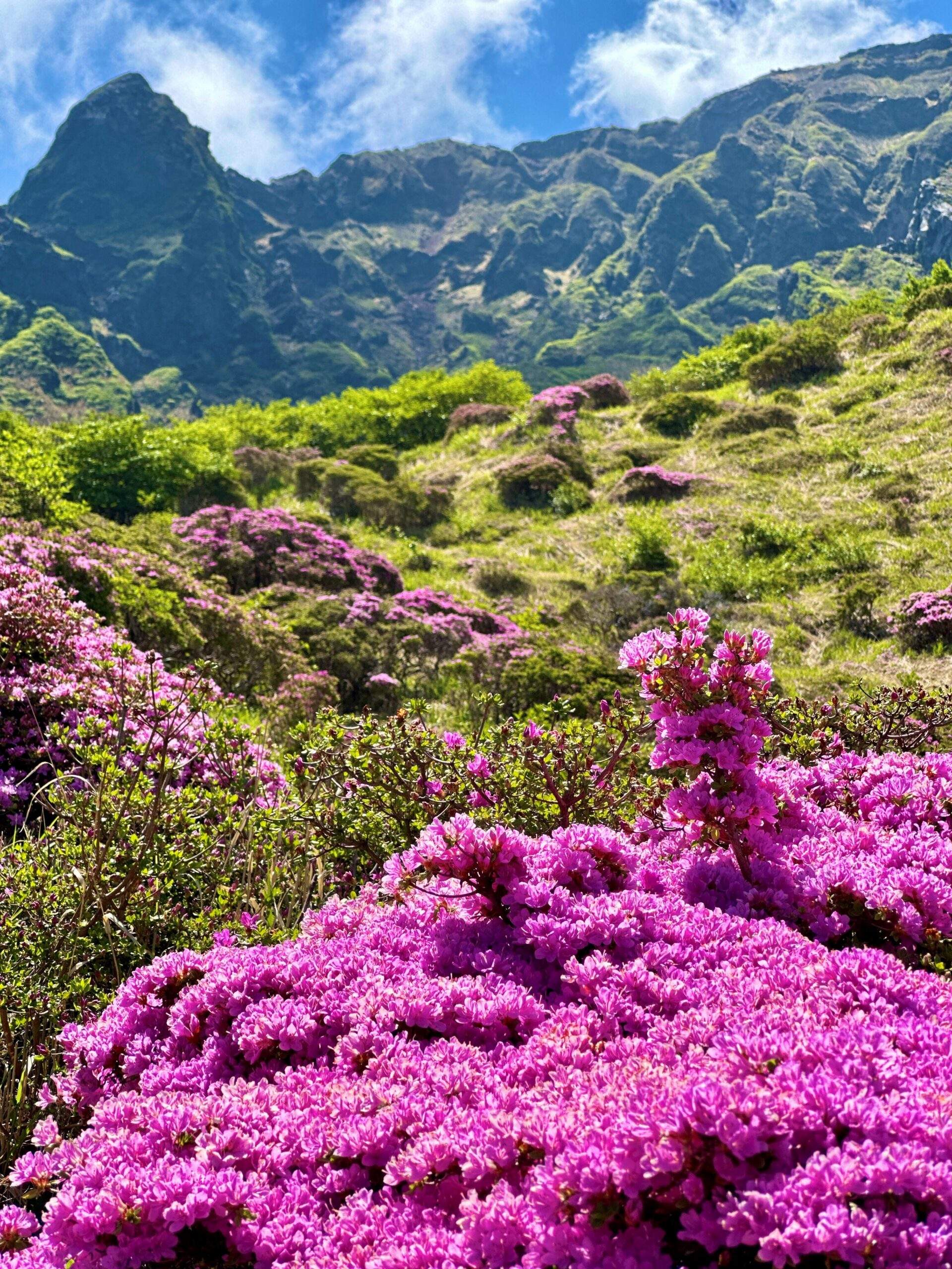 🏞️ 센스이쿄 이미지 6