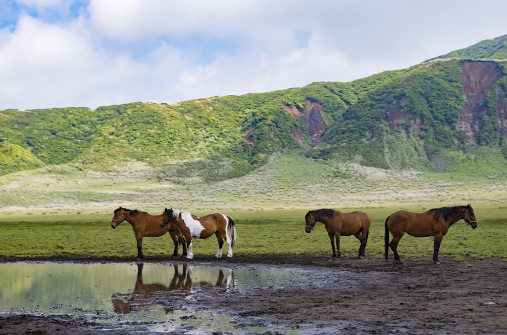 🏞️ 쿠사센리가하마(草千里ヶ浜) 이미지 3