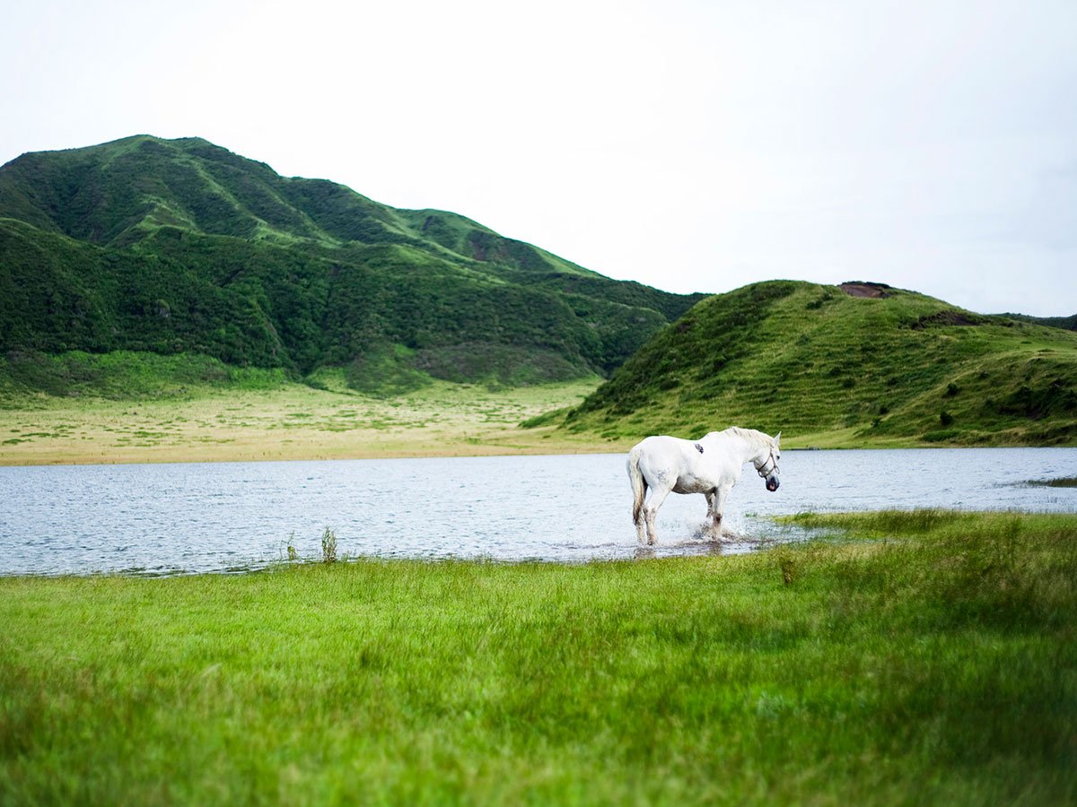 🏞️ 쿠사센리가하마(草千里ヶ浜) 이미지 6