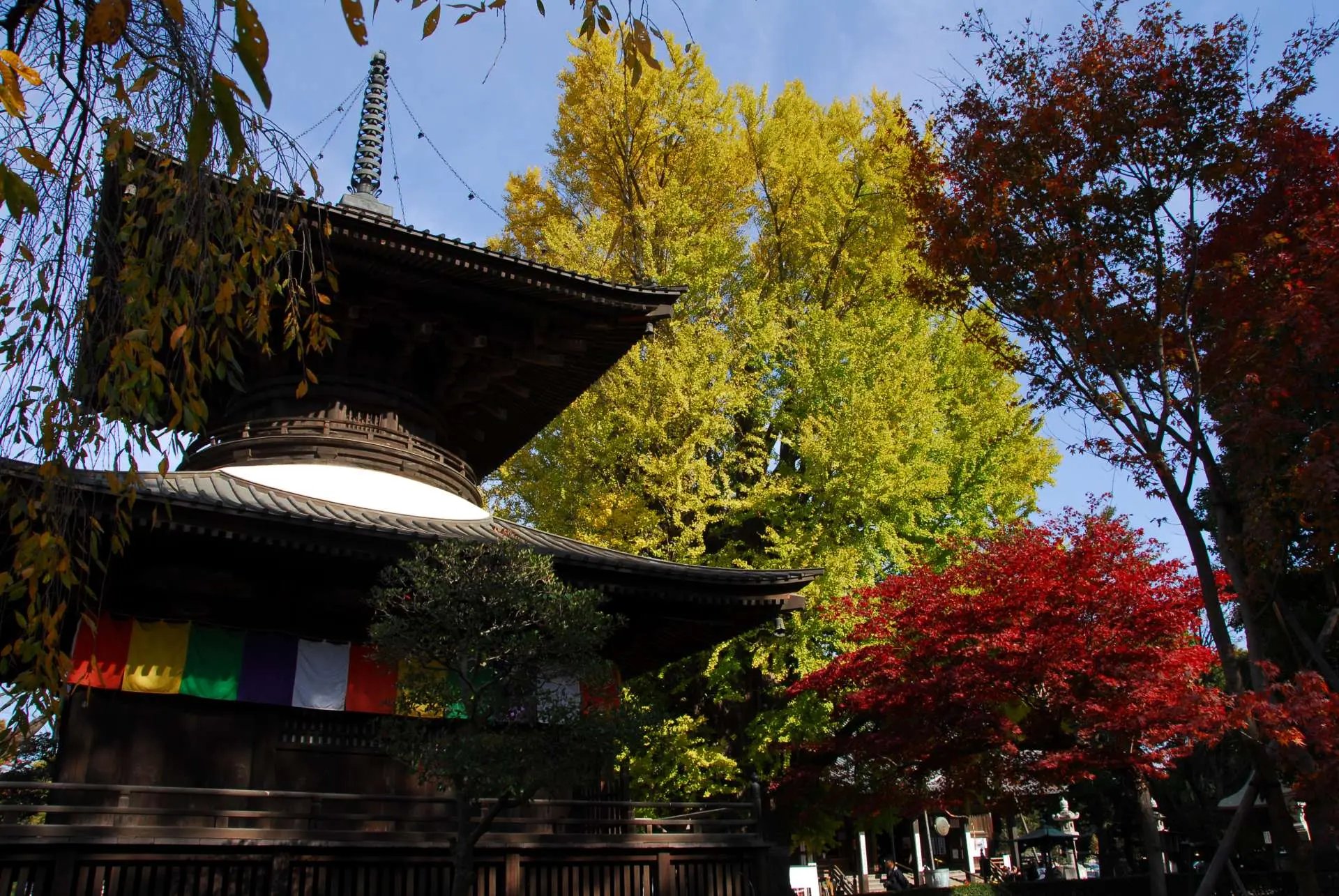 🏯 반나지(반나지) 이미지 7