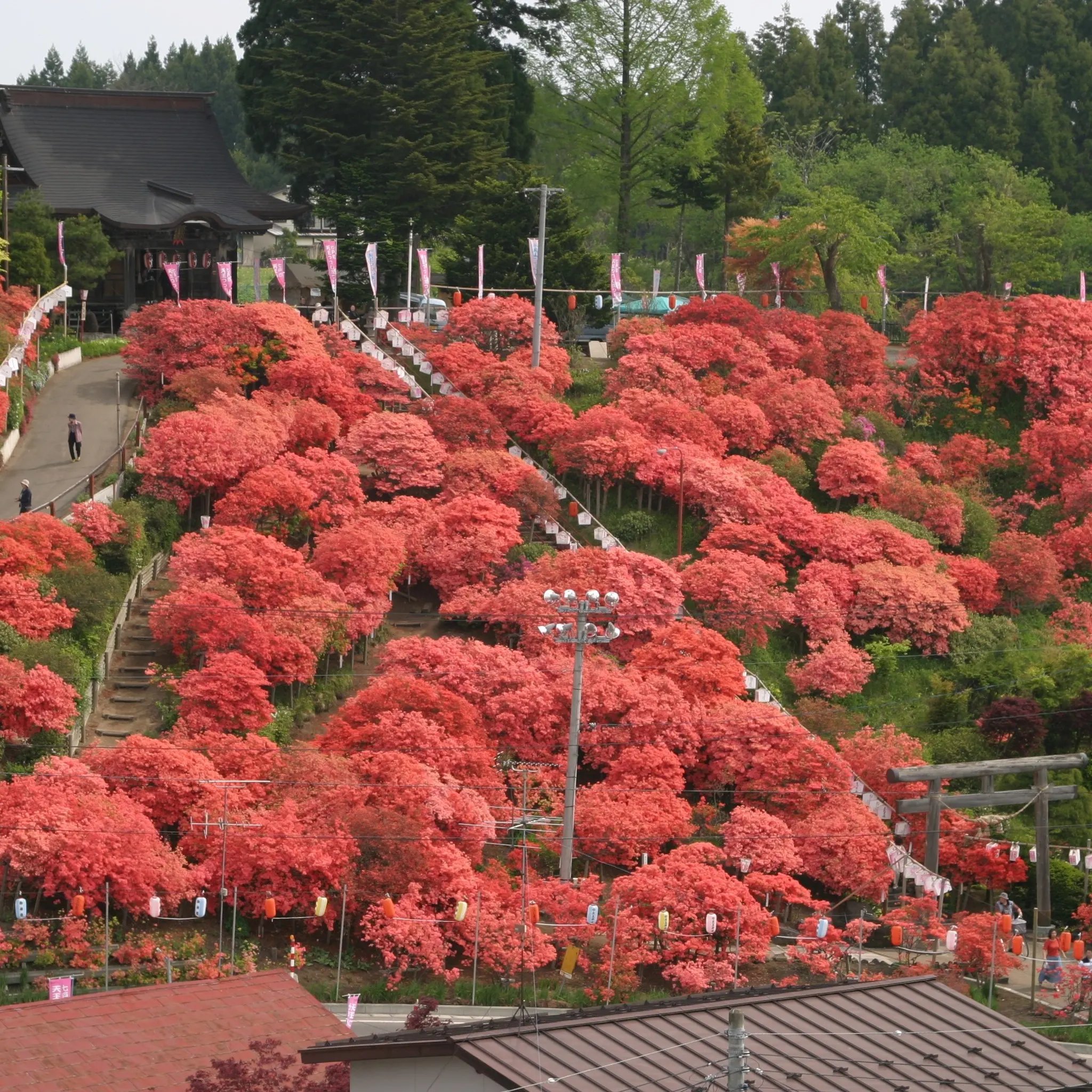 🏯 능엄사(료곤지) 이미지 7