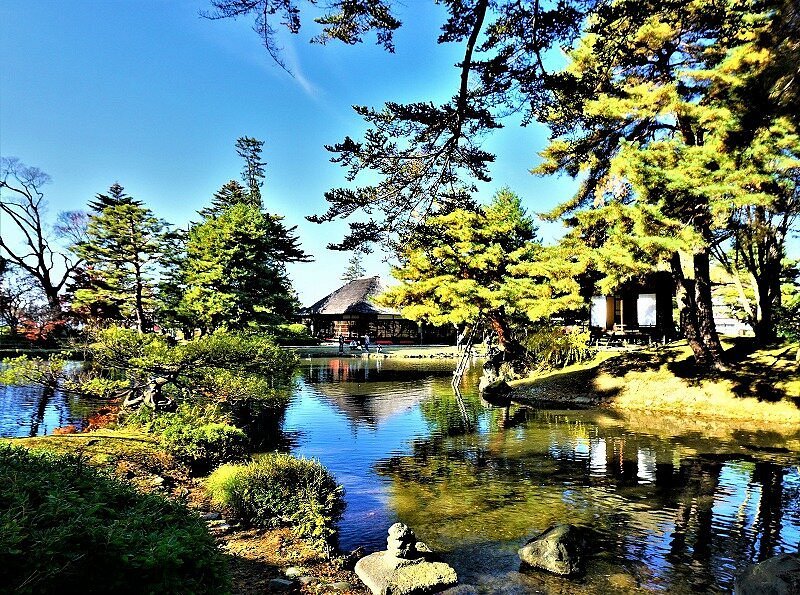 🌳 어약원(오야쿠엔)