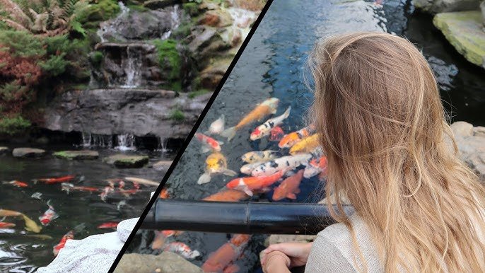 🌳 어약원(오야쿠엔) 이미지 5