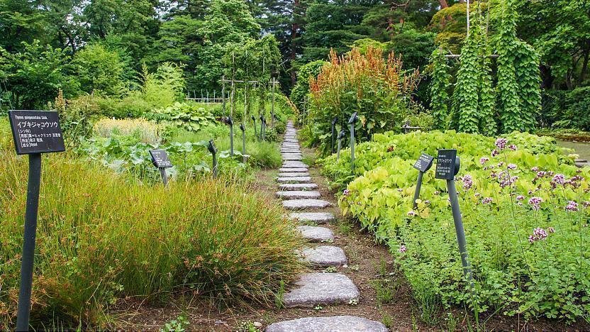 🌳 어약원(오야쿠엔) 이미지 8