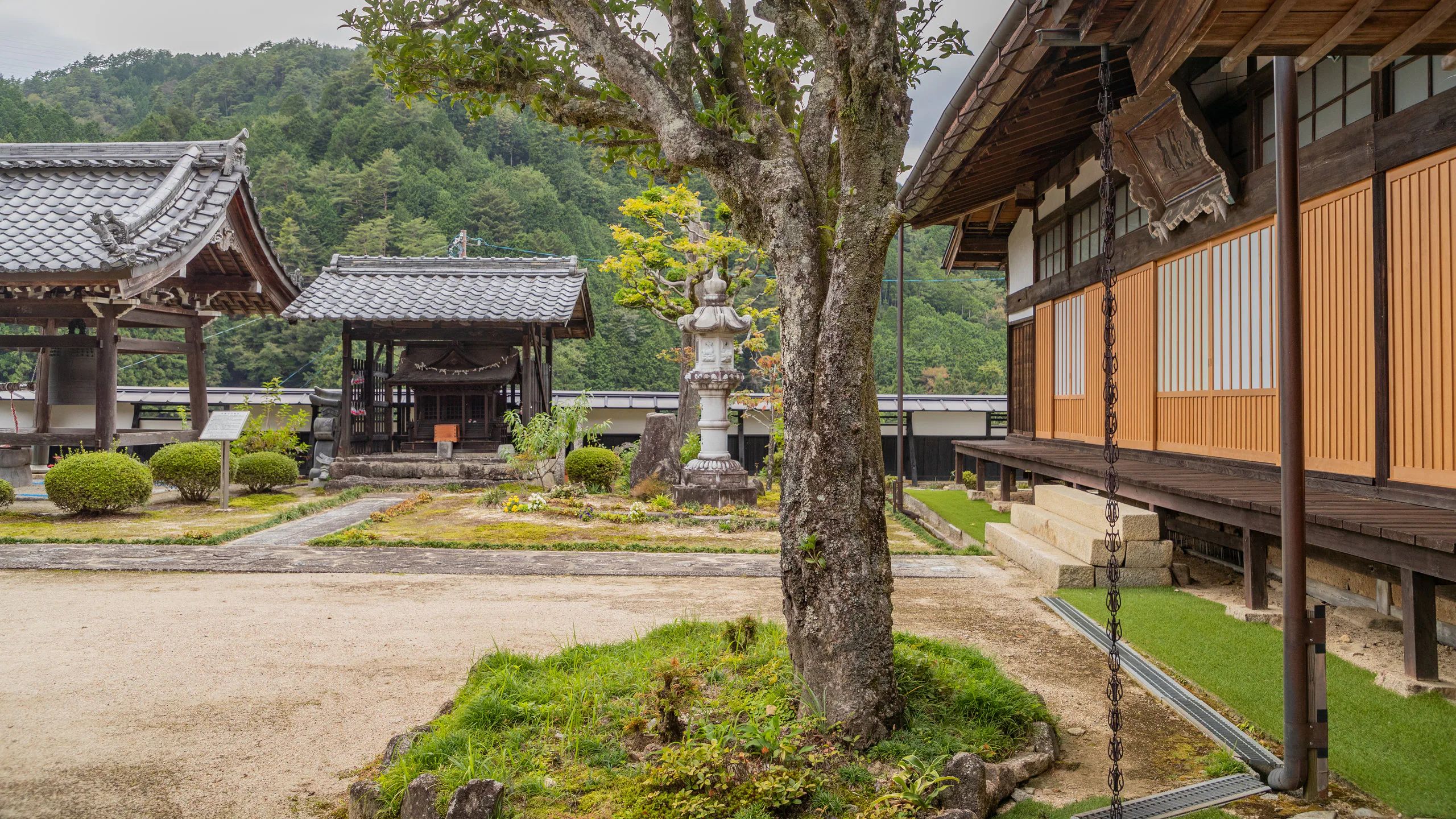 ⛩️ 광덕사(고토쿠지) 이미지 5