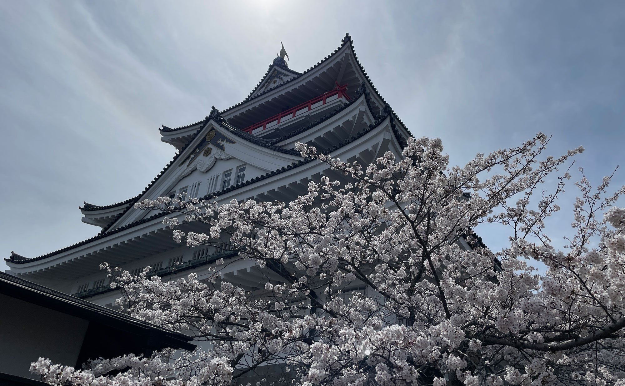 🏯 아타미성(아타미조) 이미지 9