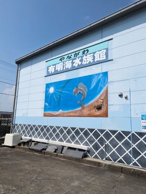 🐠 柳川有明海水族館(やながわありあけかいすいぞくかん) 이미지 2