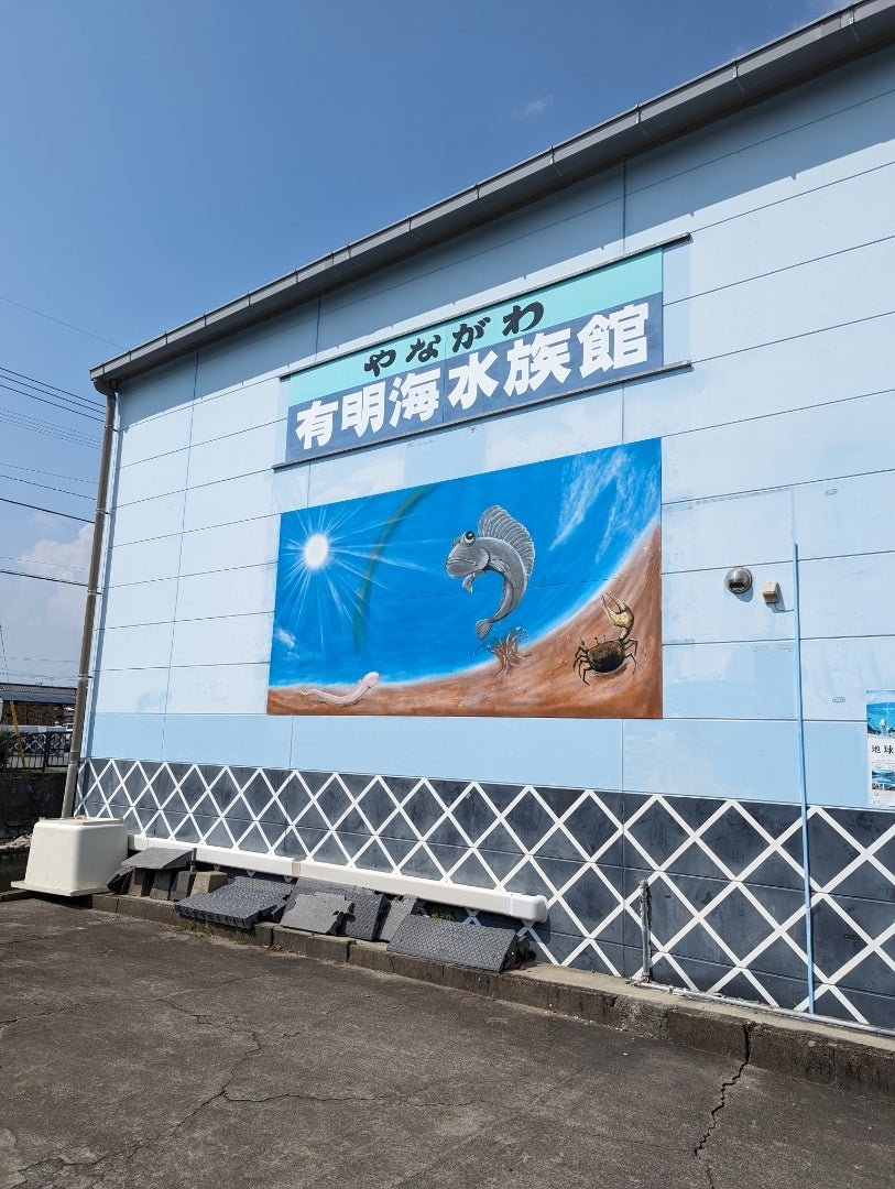 🐠 柳川有明海水族館(やながわありあけかいすいぞくかん) 이미지 1