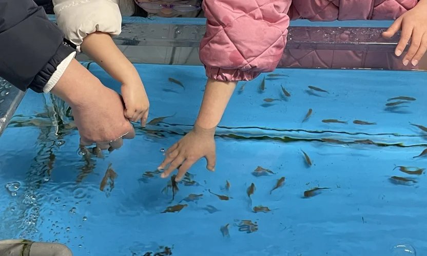 🐠 柳川有明海水族館(やながわありあけかいすいぞくかん) 이미지 4