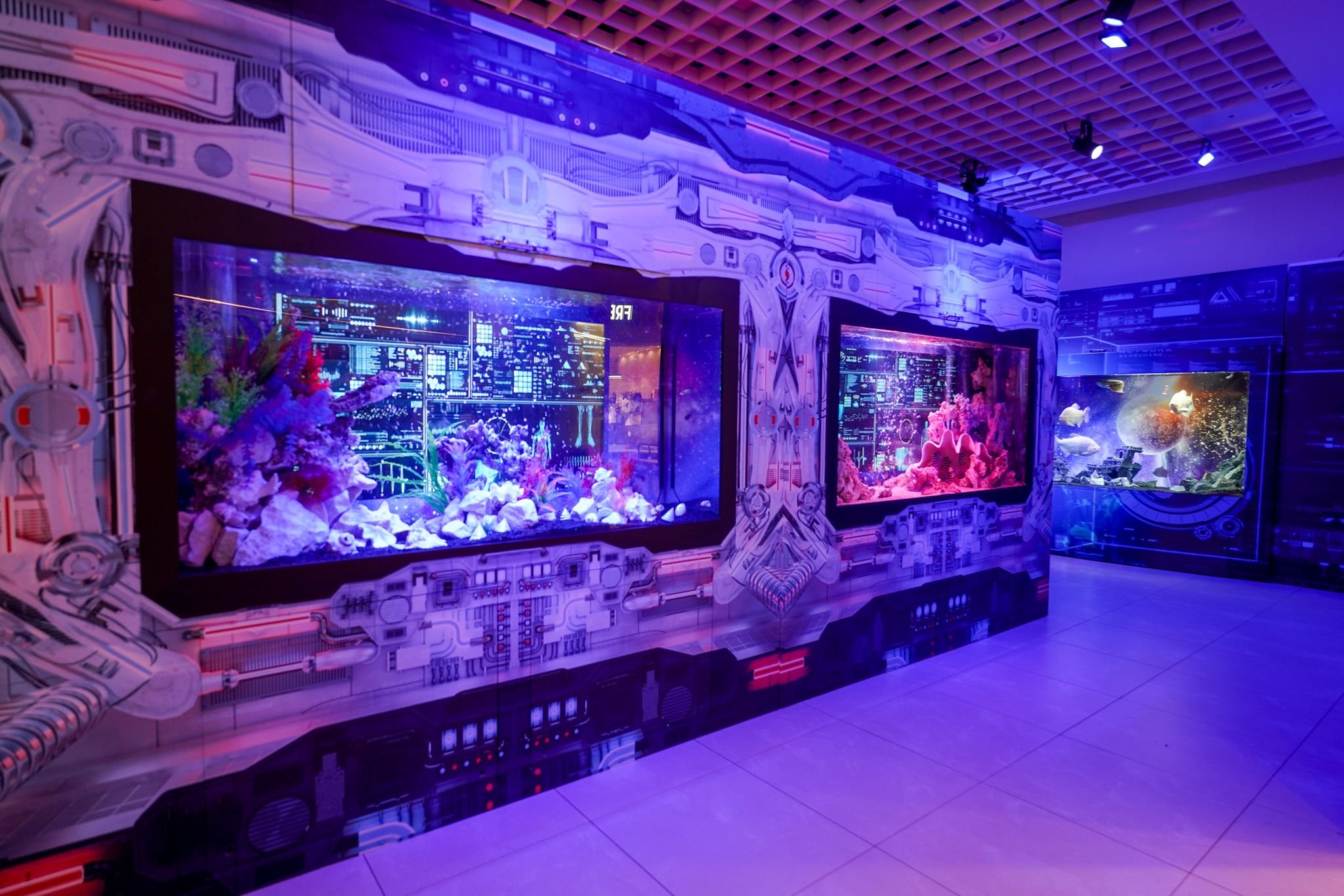 🐠 柳川有明海水族館(やながわありあけかいすいぞくかん) 이미지 7