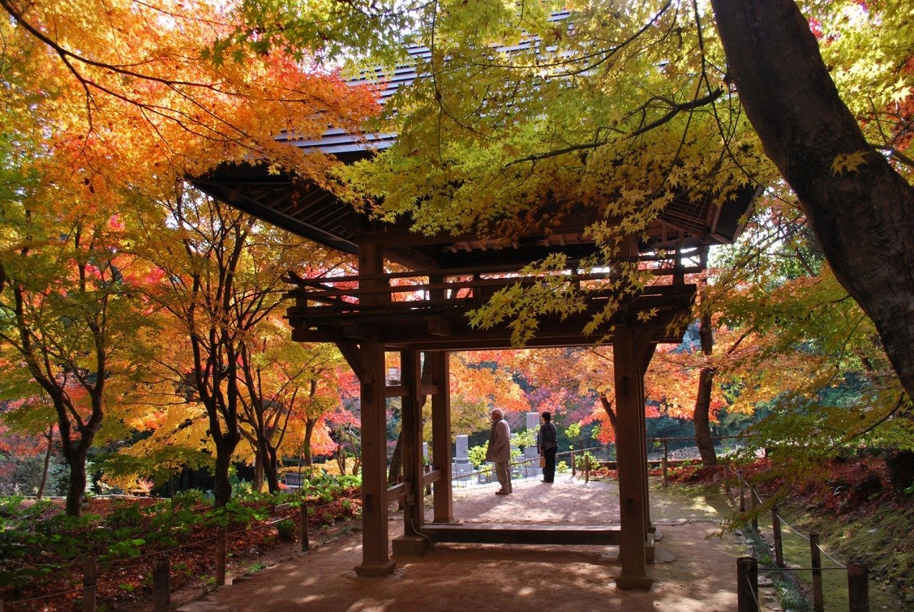 🍁 양족사(료소쿠지) 이미지 1