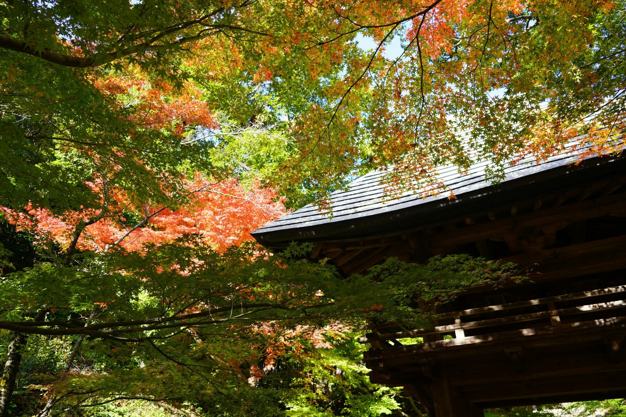 🍁 양족사(료소쿠지)