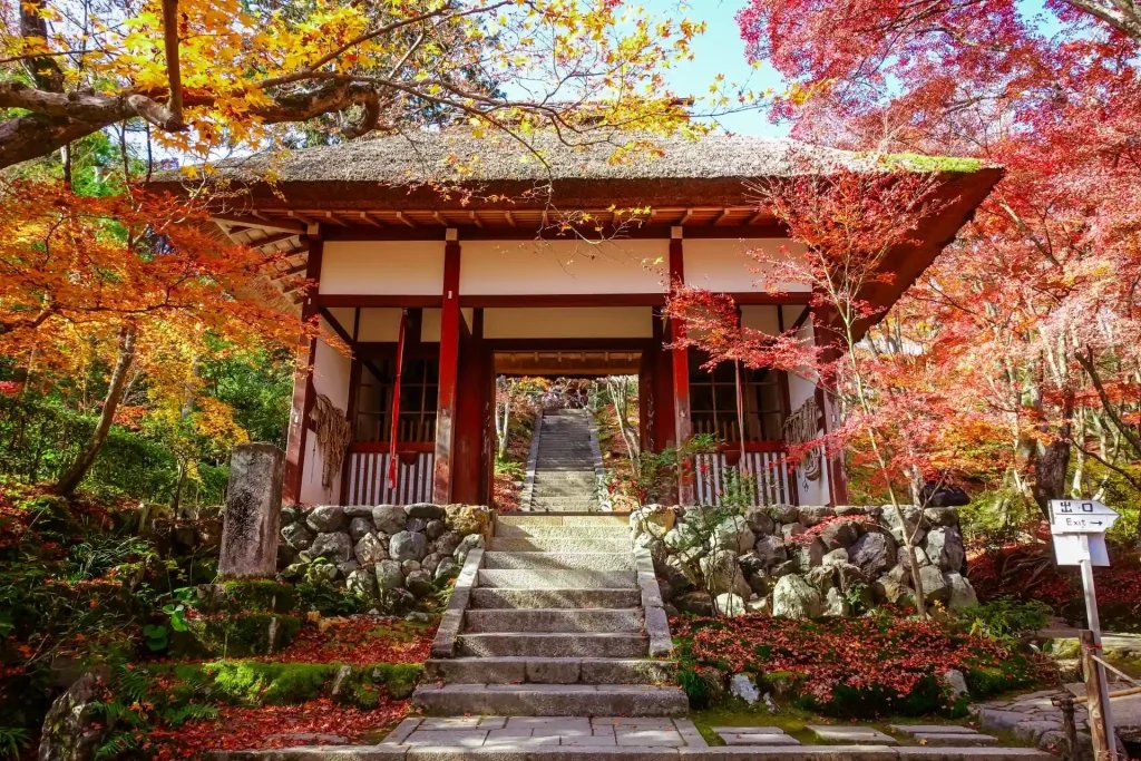 🍁 양족사(료소쿠지) 이미지 7