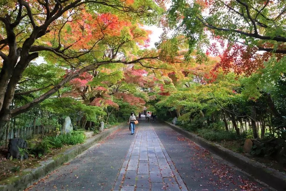 🏯 용복사(류후쿠지) 이미지 3