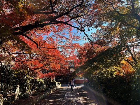 🏯 용복사(류후쿠지) 이미지 6