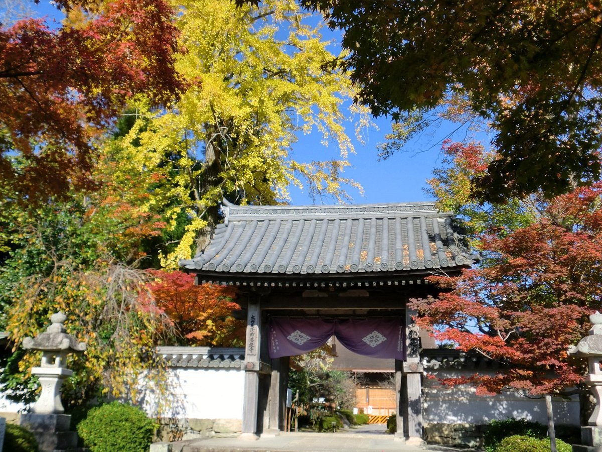 🏯 용복사(류후쿠지) 이미지 8