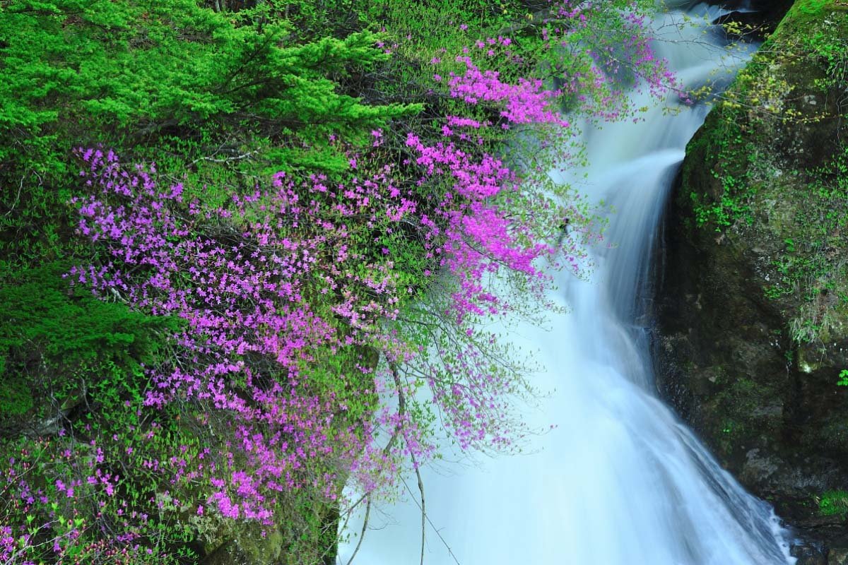 🏯 용장사(류조지)