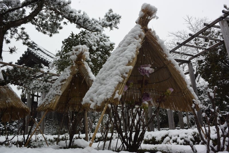 🏯 용장사(류조지) 이미지 9