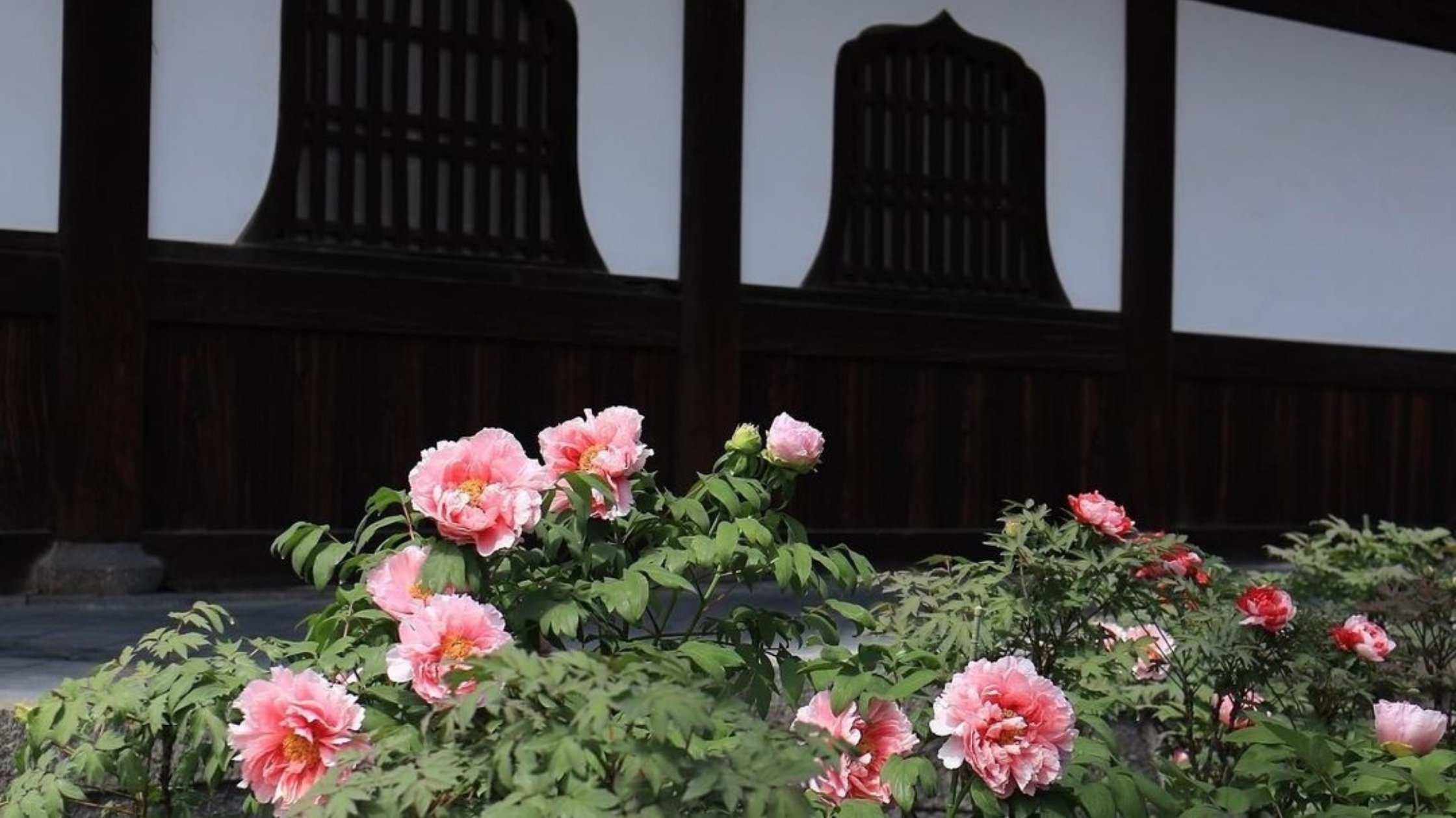 🏯 용장사(류조지) 이미지 10