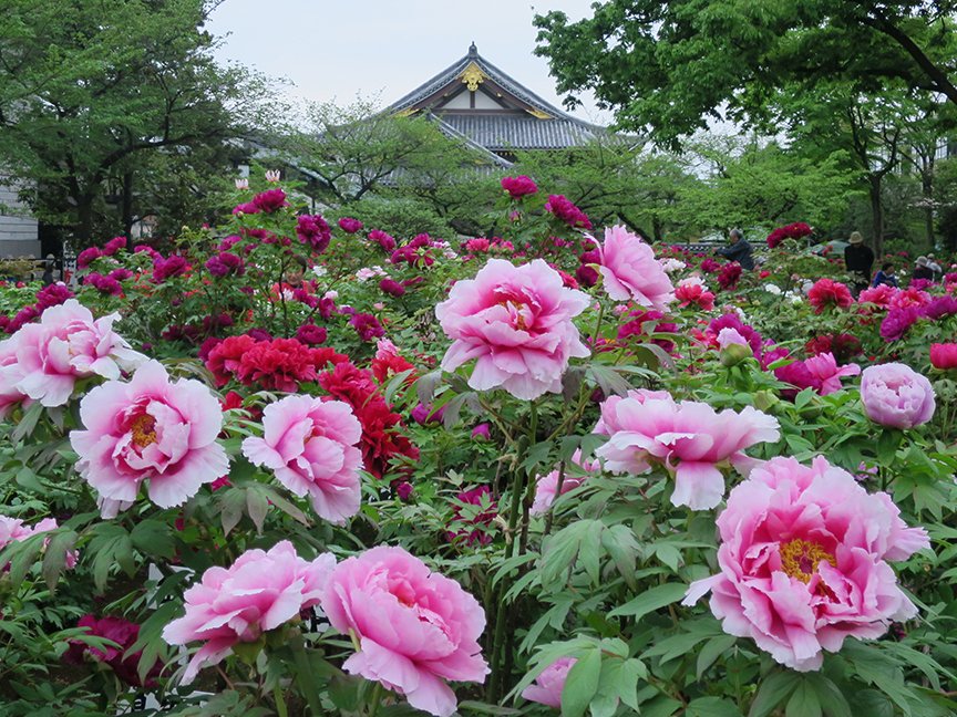 🏯 용장사(류조지) 이미지 8