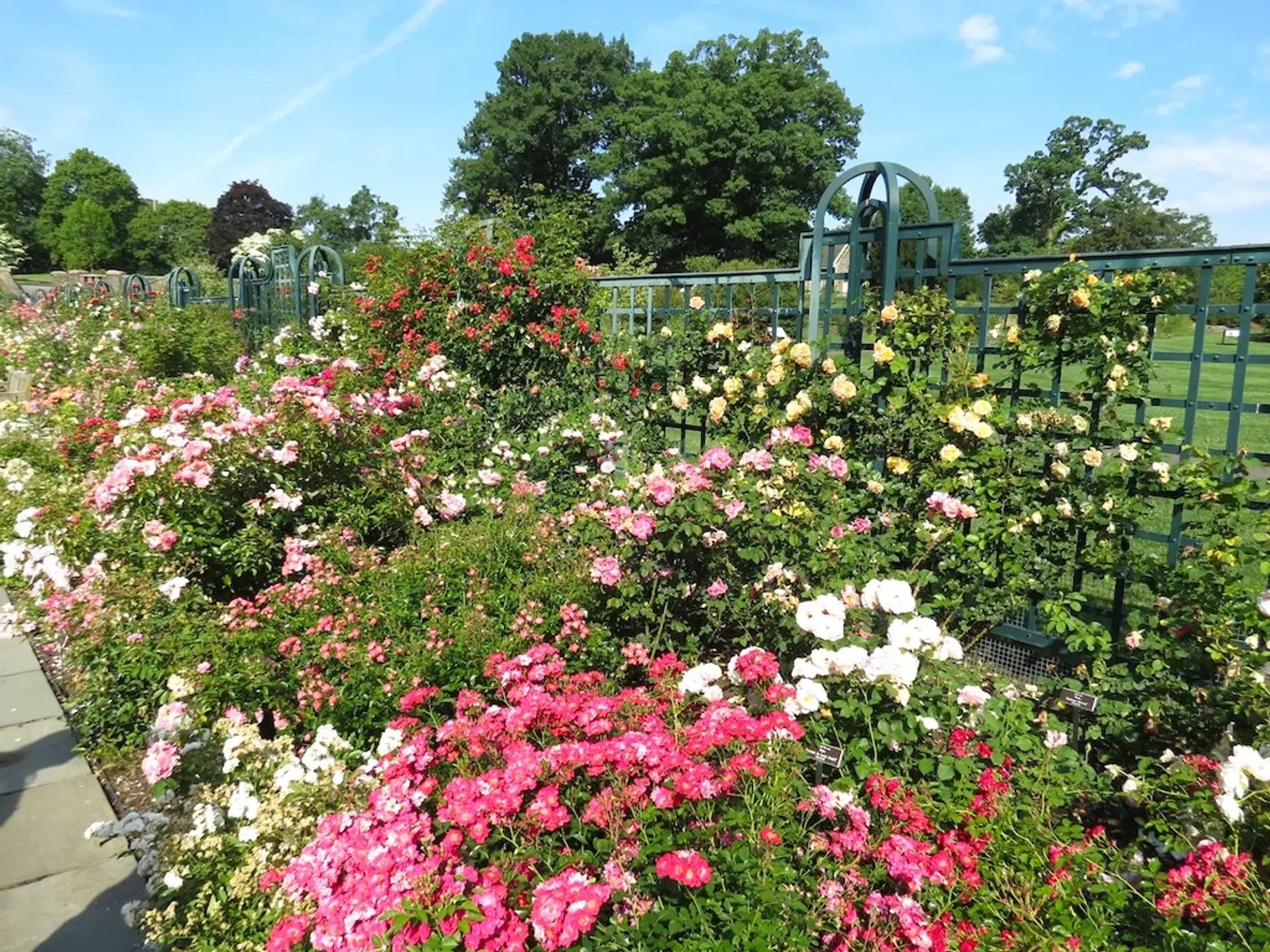 卍 마츠오데라 이미지 11