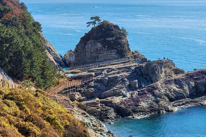 🏯 자광원(지코인) 이미지 1