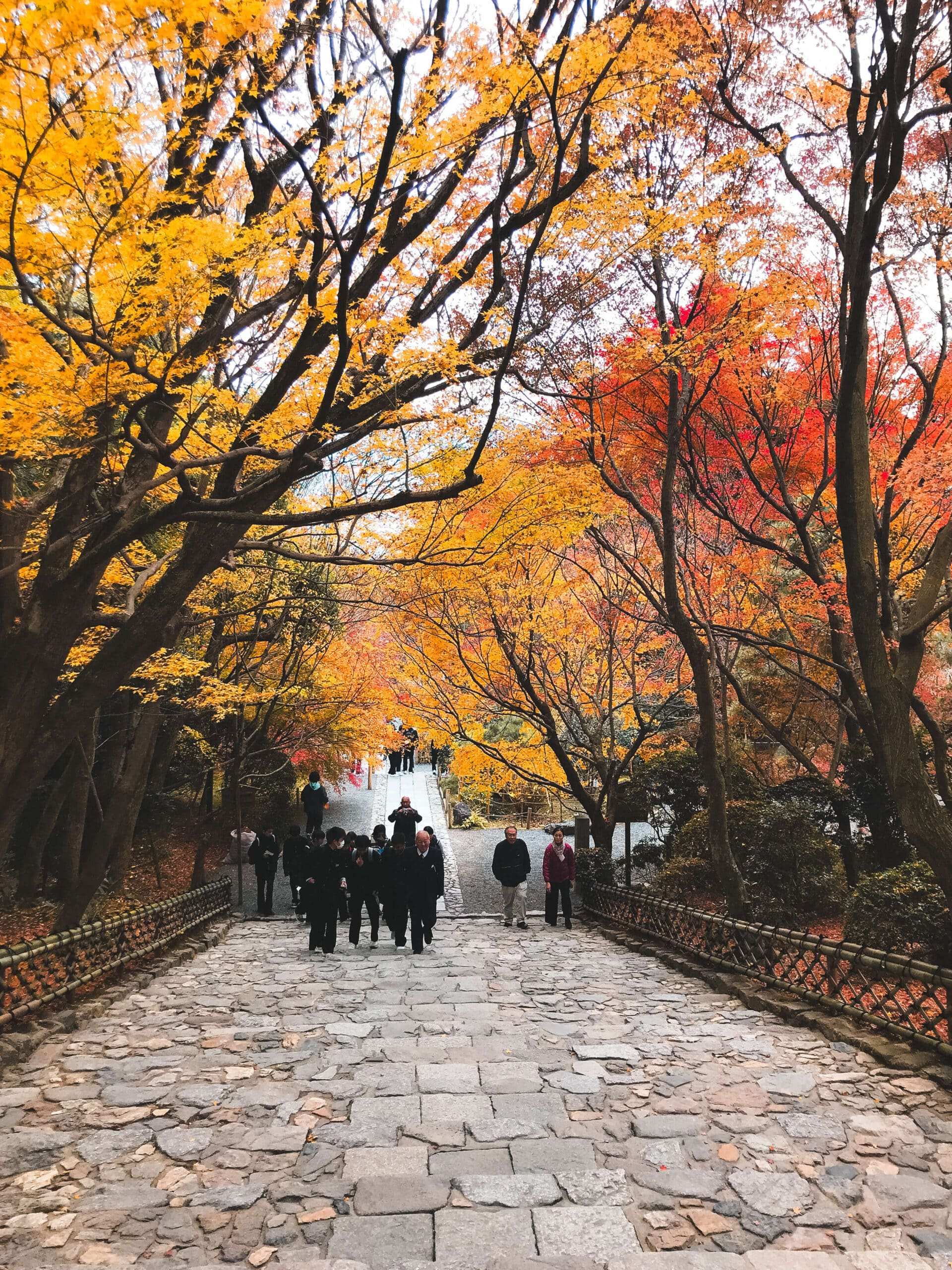 🏯 젠요지(善養寺) 이미지 1