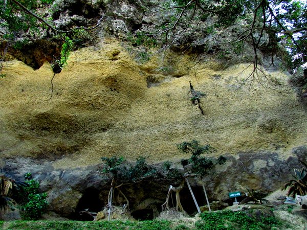 🏞️ 쇠곶(카네자키) 이미지 4