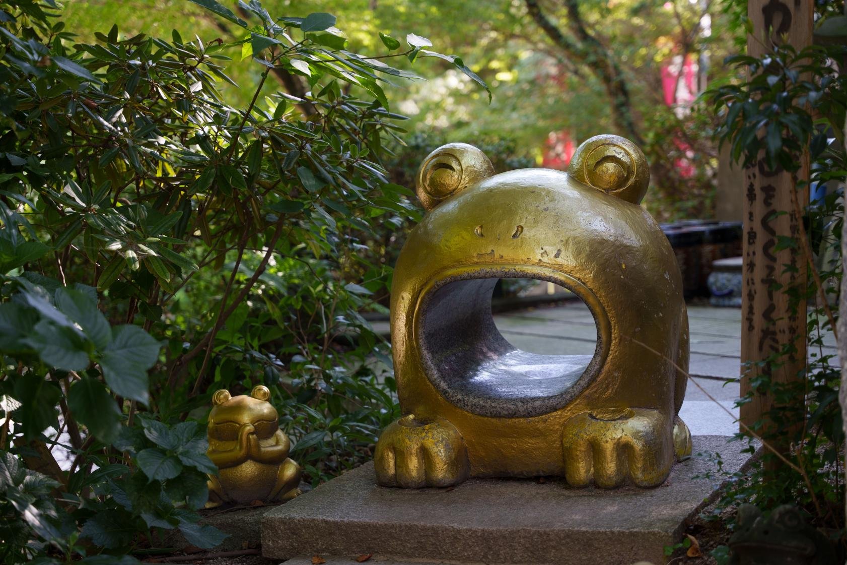 🐸 여의륜사(뇨이린지) 이미지 6