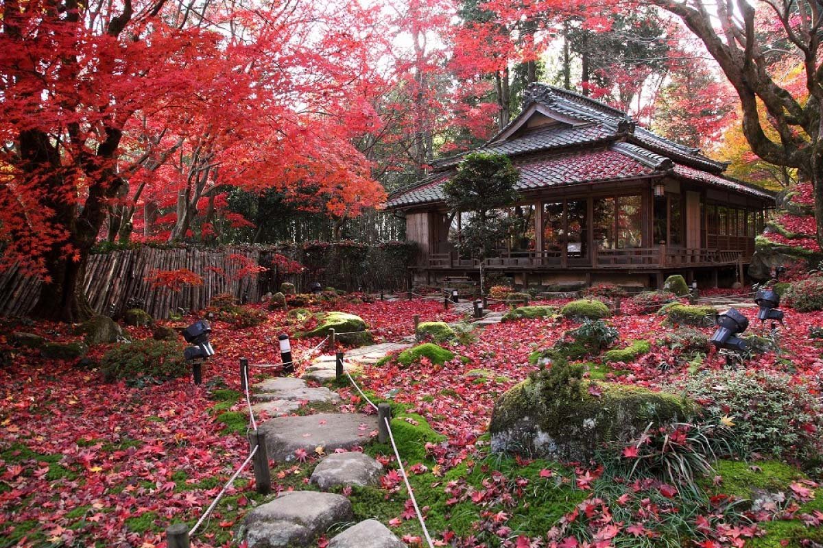 🍁 교린보(쿄린보) 이미지 1