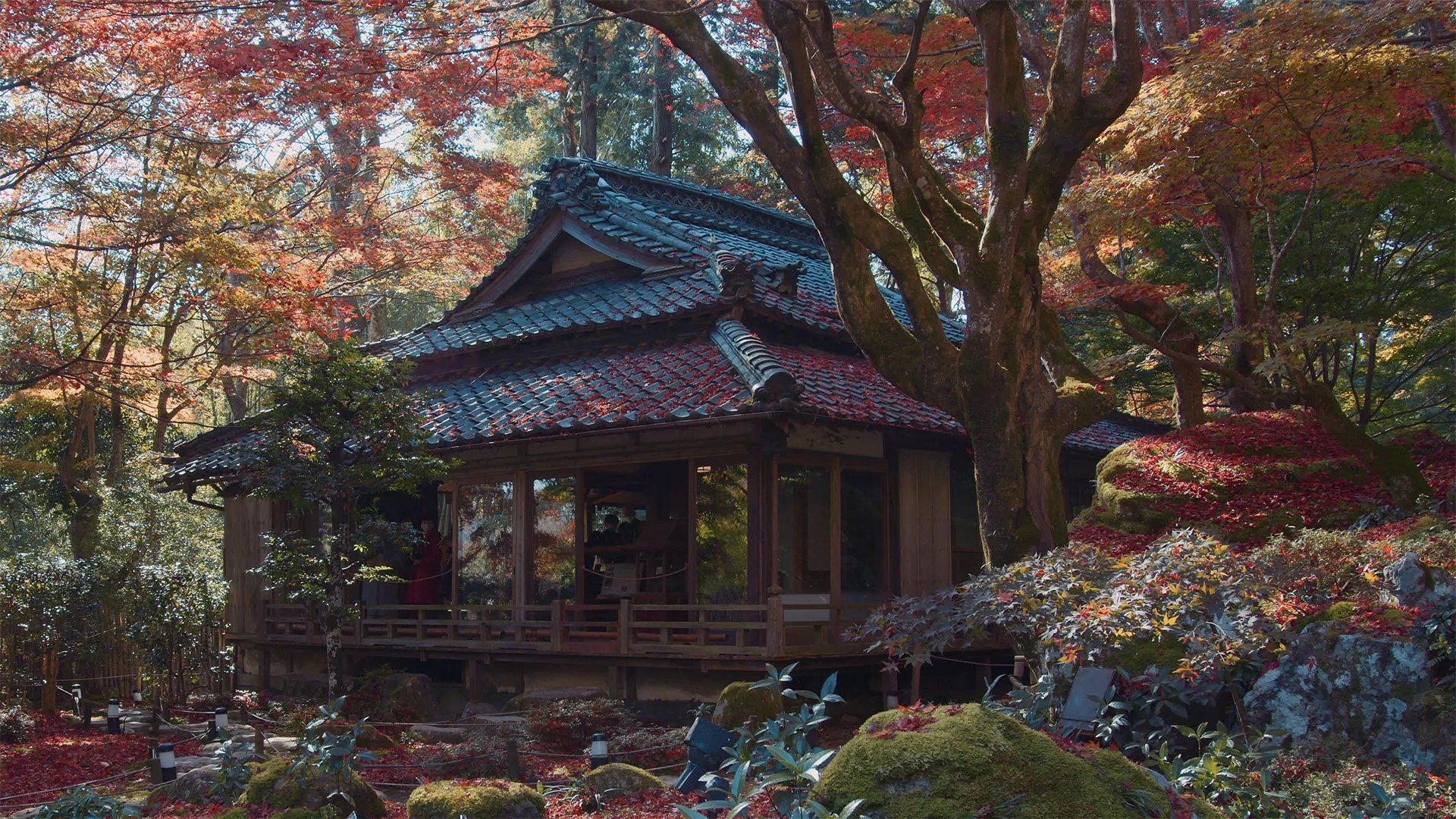 🍁 교린보(쿄린보)