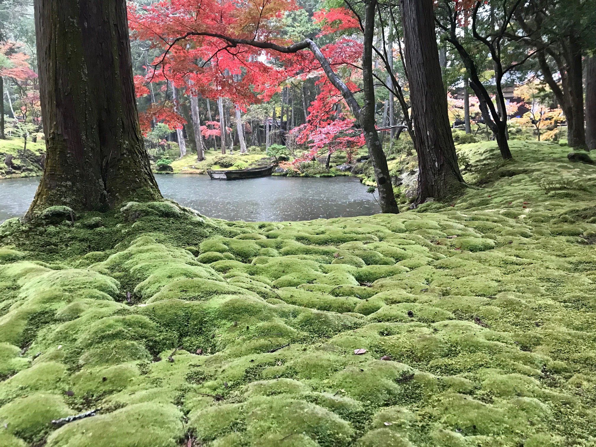 🍁 교린보(쿄린보) 이미지 8
