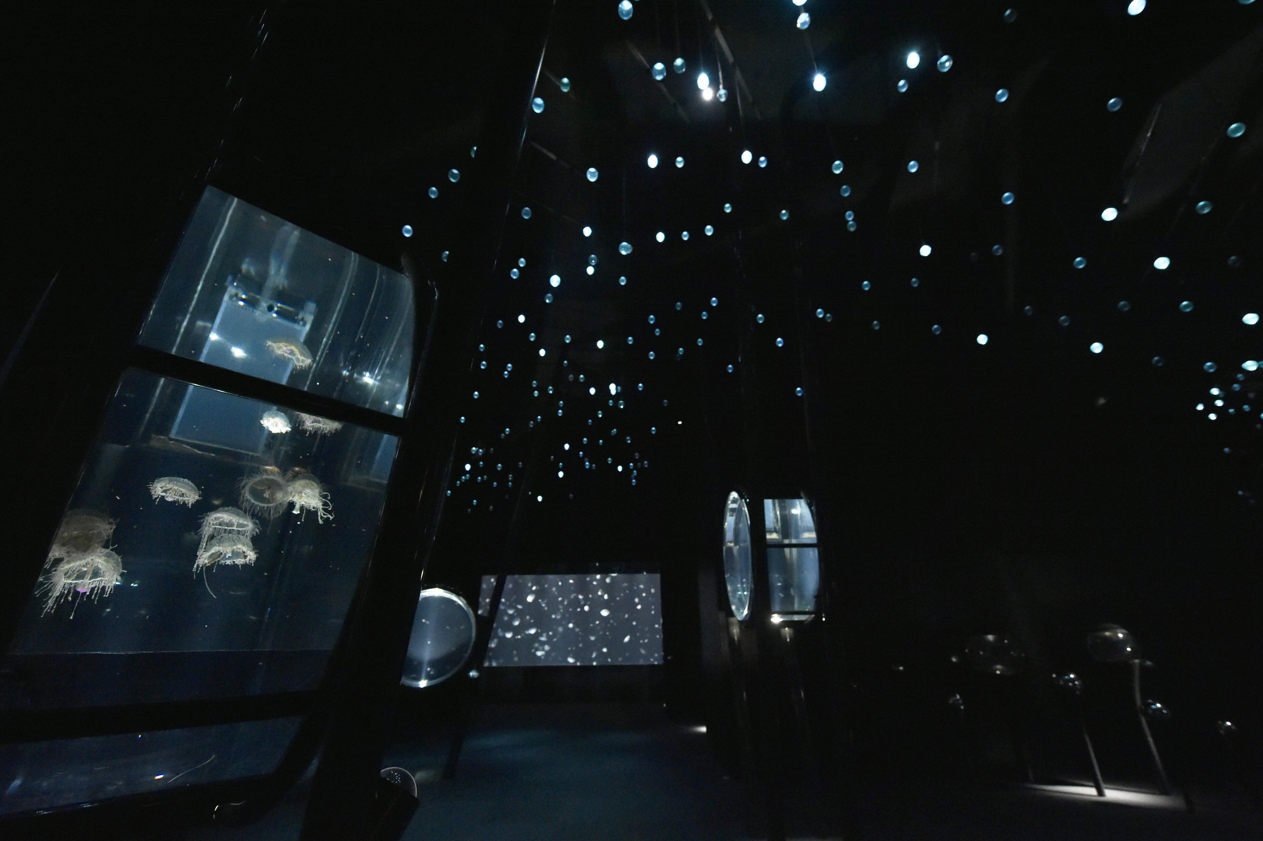 🐠 가이유칸 이미지 6